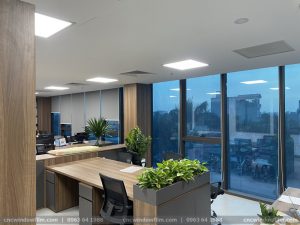 Phim cách nhiệt màu xanh
